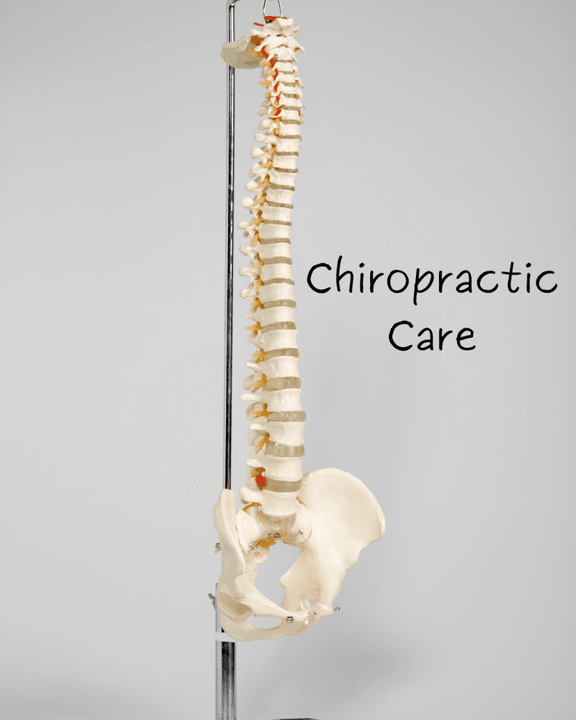 An image of Chiropractor
